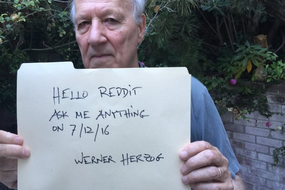 導演韋納．荷索（Werner Herzog）拿著「你問我答」（AmA，Ask me Anything）的紙板。（翻攝自MasterClass推特）