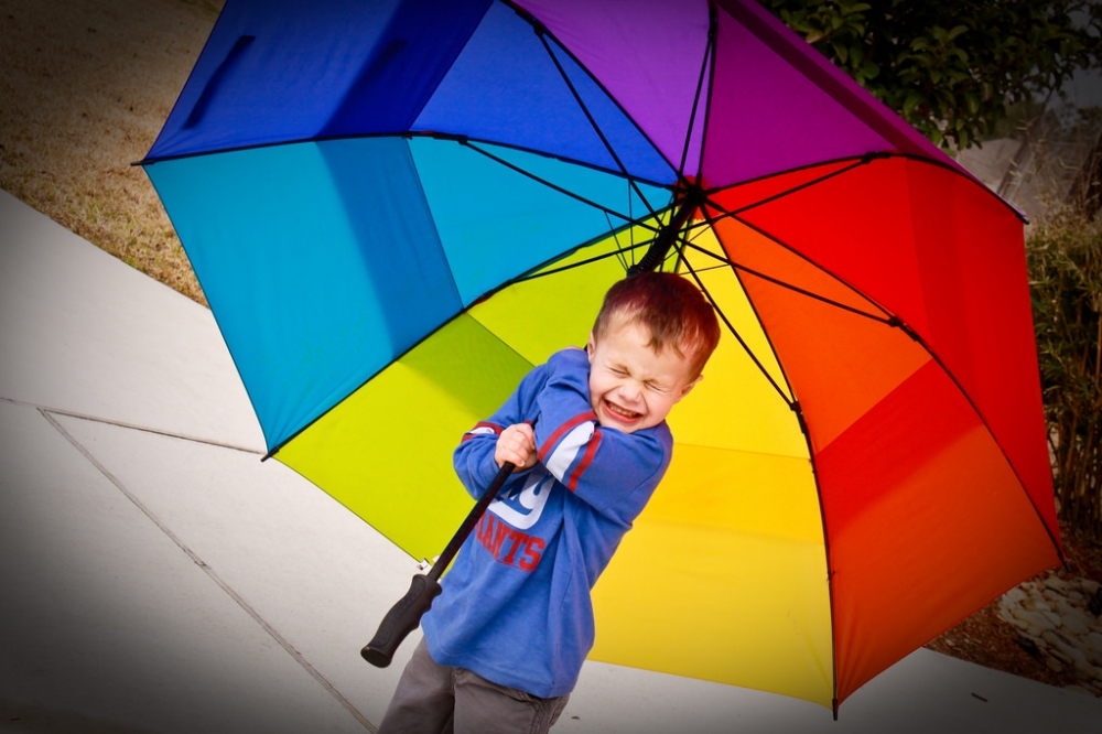 壞掉的雨傘，總是讓人不知道該如何處置它！（圖片出處: Edd Prince@flickr）