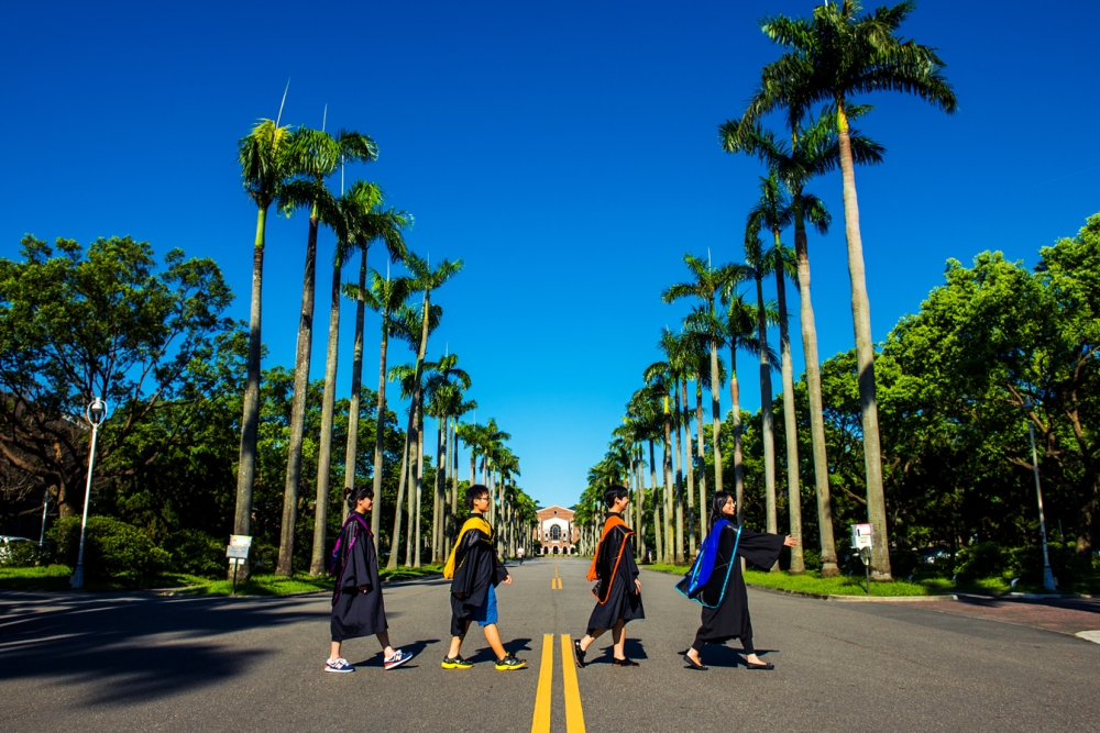許多學生的夢想就是考上台灣大學，圖為台大椰林大道。（翻攝自台灣大學官網）