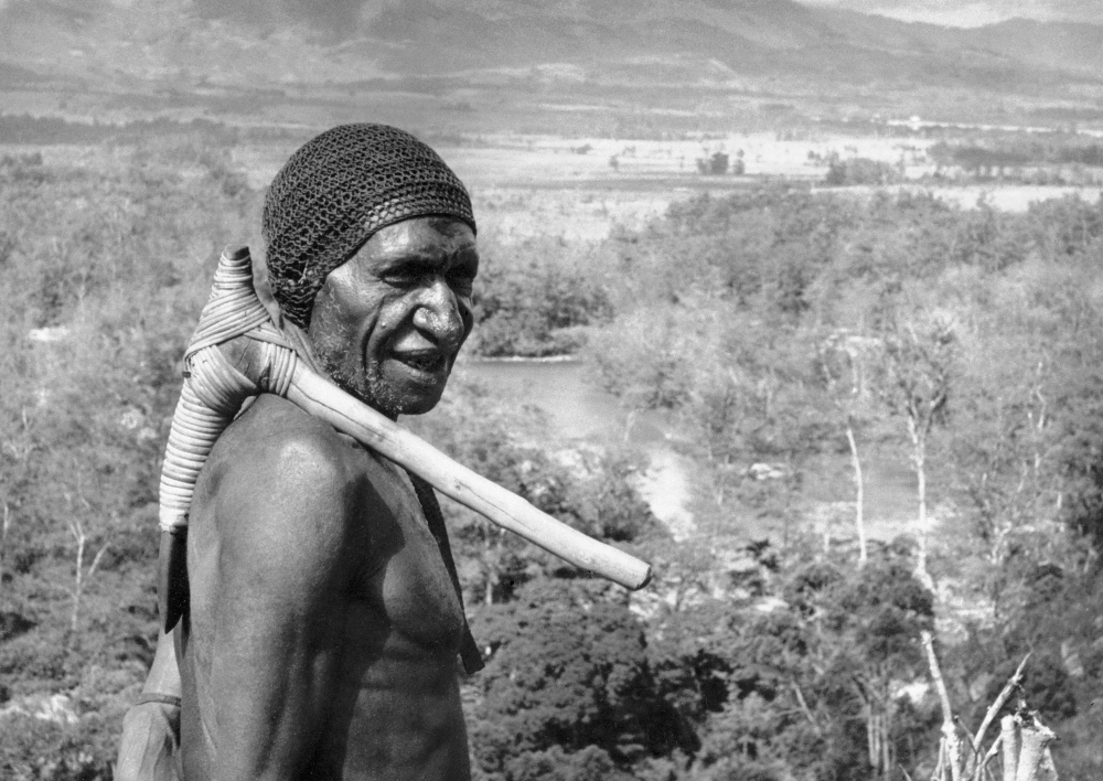 研究顯示，澳洲與巴布亞紐幾內亞原住民族祖先是全球最古老民族之一。圖為1962年1位原住民手持石斧、鳥瞰巴布亞紐幾內亞巴列姆谷（Baliem Valley）。（美聯社）