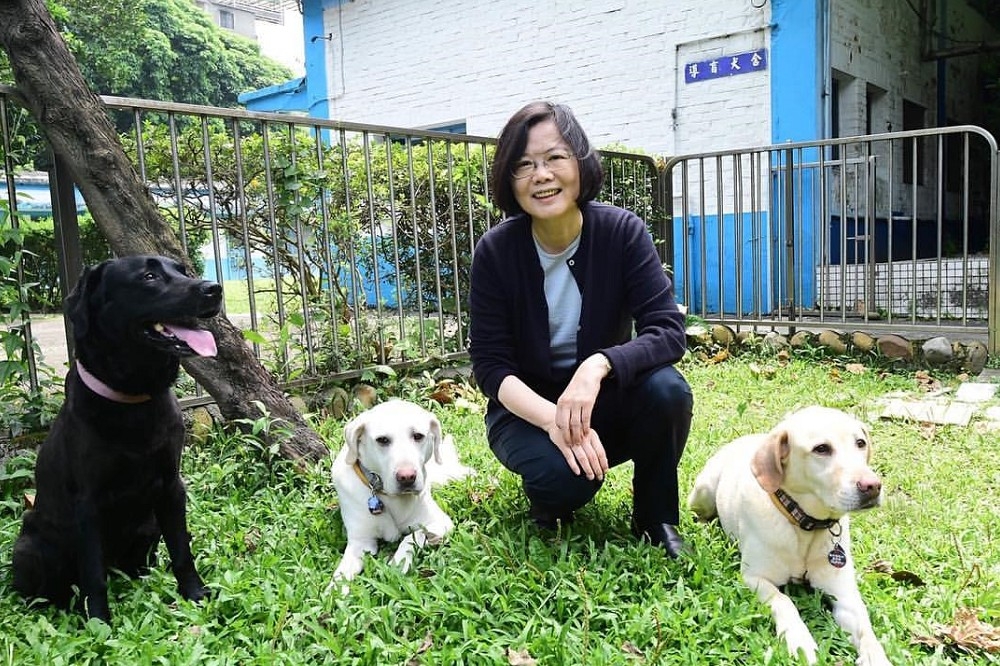 蔡英文總統15日一早到惠光導盲犬學校，將收養的3隻退休導盲犬帶回家，還在臉書上發文「終於等到這一天」。（翻攝自蔡英文臉書）