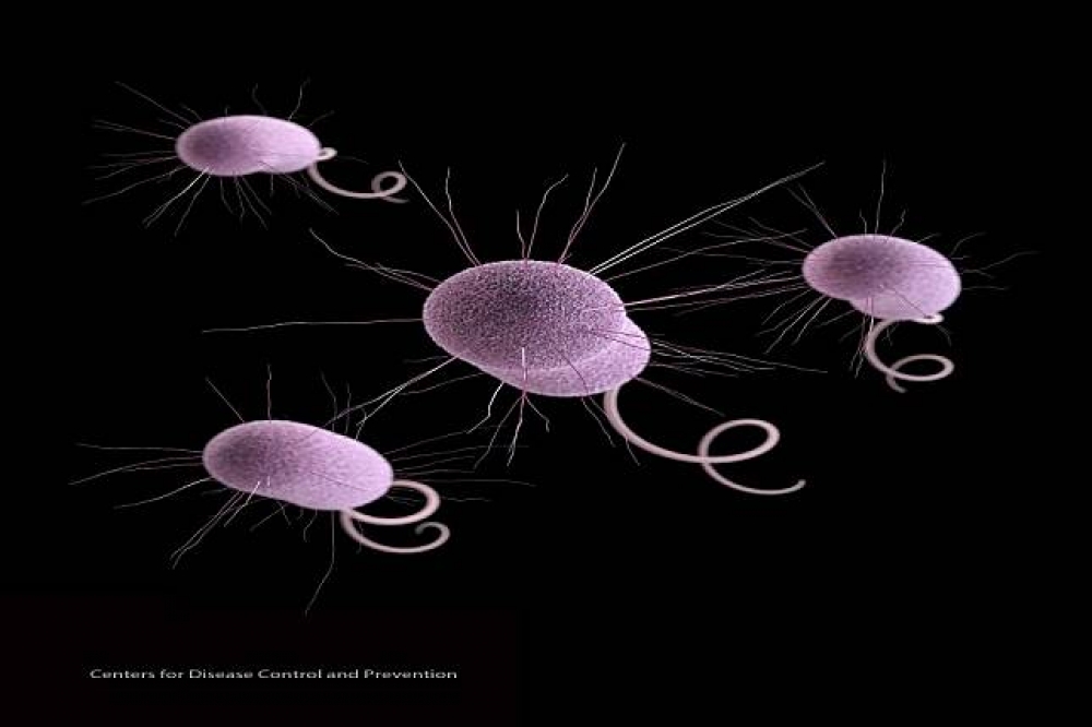 美國疾病與管理預防中心在檢驗中發現200多個不尋常的抗藥性的「惡夢細菌」。（美聯社）