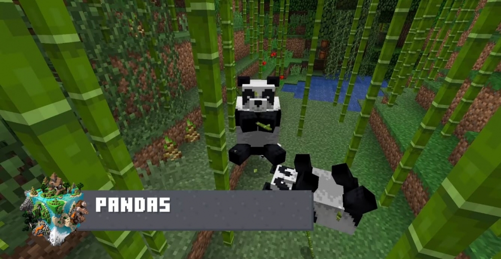 《Minecraft》官方公布遊戲中即將加入新朋友，療癒系動物「熊貓」。（圖片來源：Minecraft）