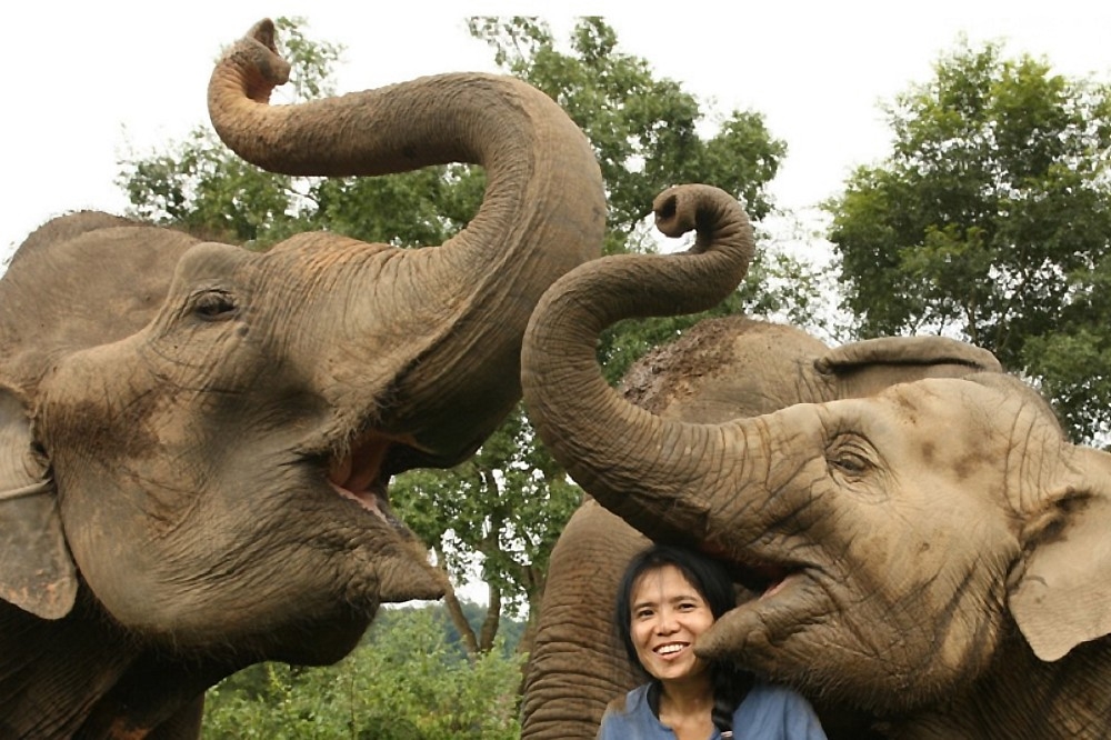 （圖片來源：大象自然公園  官方網站）