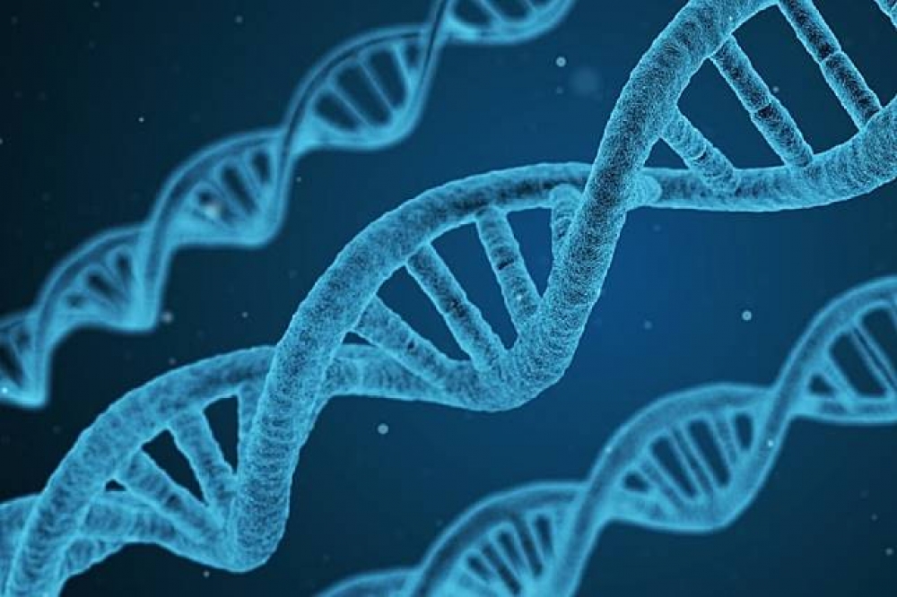 英國研究指出，基因與壽命有一定程度的相關性。（翻攝自Pixabay）