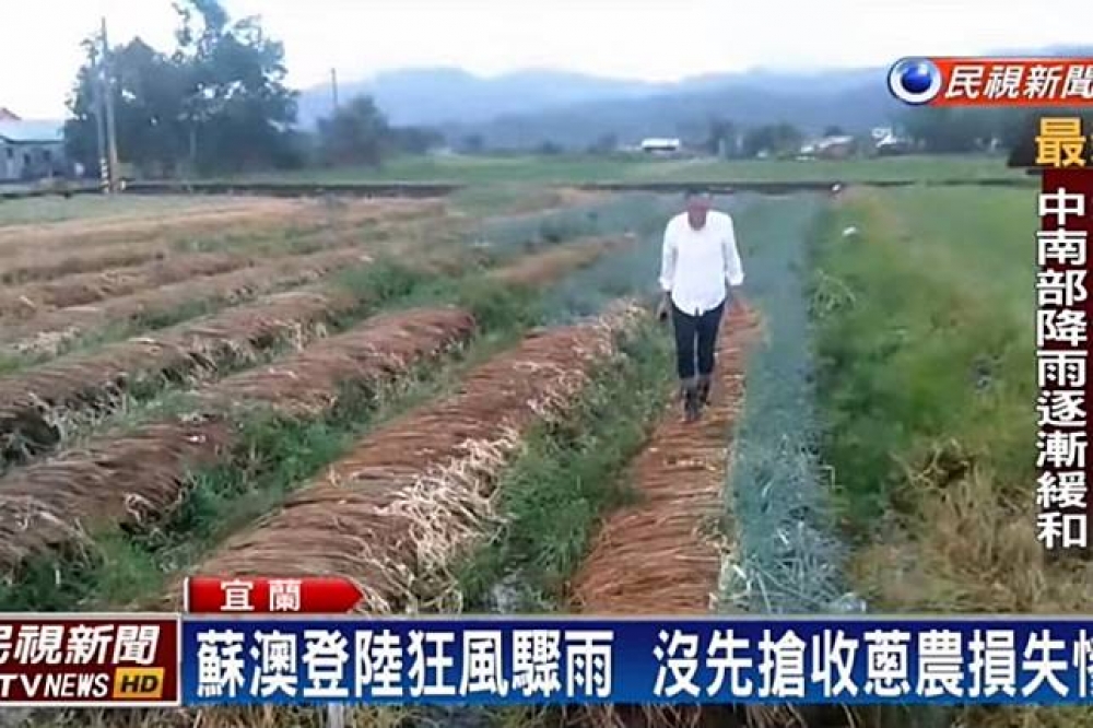 29、30日受颱風尼莎、海棠接連侵襲後，造成農產品災情嚴重。行政院農業委員會31日公布受損估計數據，受損最慘重的作物為青蔥。（翻攝自民視新聞）