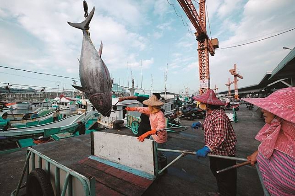 活力十足的漁獲市場（攝影：廖大錦逢一郎）