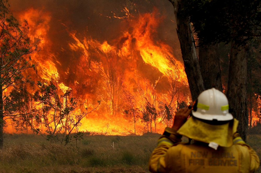 消防員9日在澳洲新南威爾斯州觀察火勢。（湯森路透）