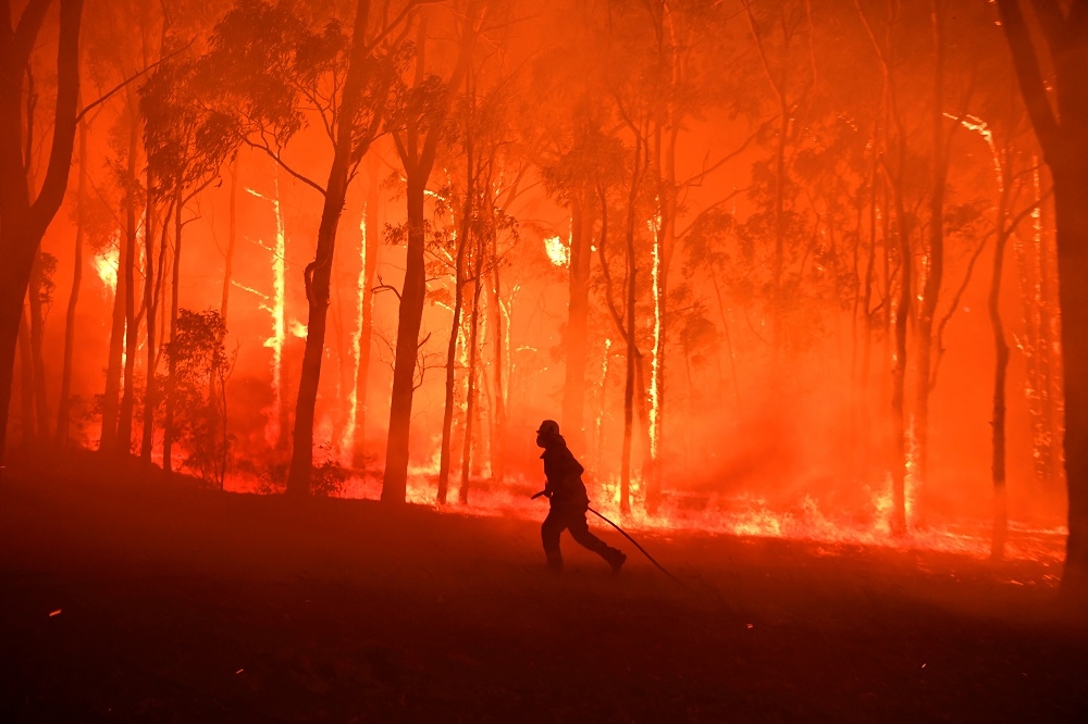 澳洲新南斯威爾州因乾旱導致森林野火的情況，已持續燃燒數日。（湯森路透）