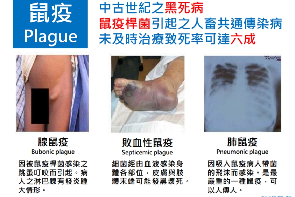鼠疫（黑死病）在中國蔓延，疾管署呼籲國人，若前往疫源區旅行，應注意環境衛生，避免接觸、生食野生動物。（疾管署提供）