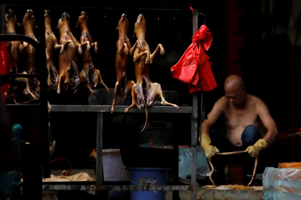 中國廣西狀族自治區玉林市中的狗販。（湯森路透）