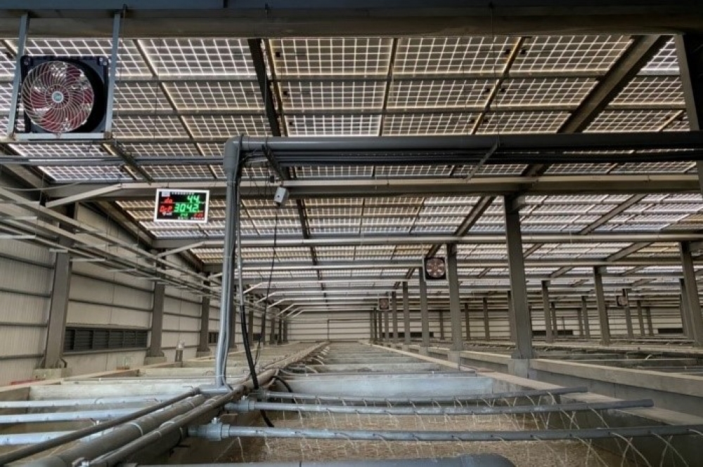 台南室內養殖結合太陽光電的案場。（取自行政院農業委員會官網）