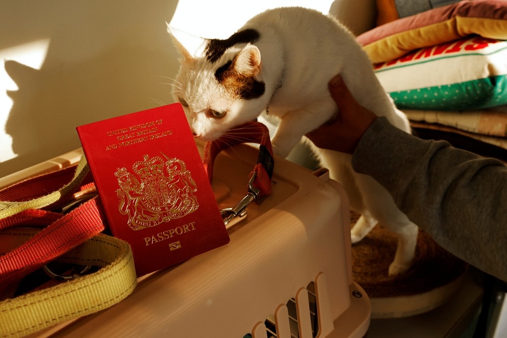 英國海外國民護照。（湯森路透）
