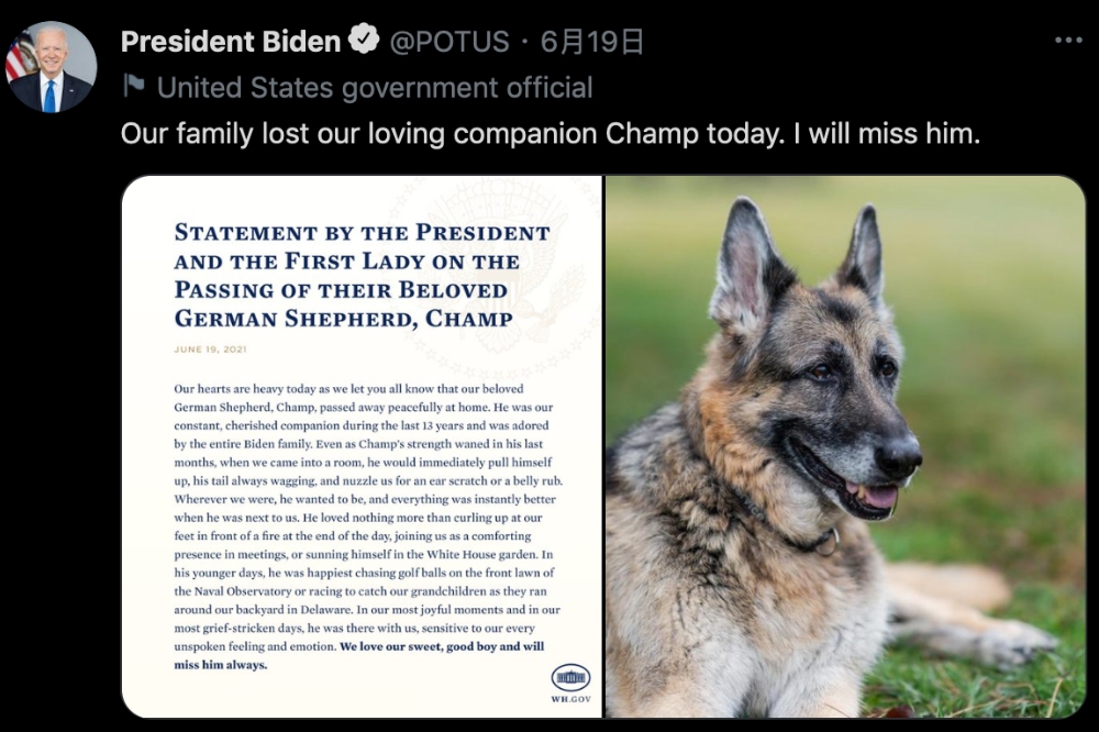 拜登20日在推特表示，心愛的牧羊犬過世，蔡英文總統也在其推特回應，引發各界批評。（截取自拜登推特）