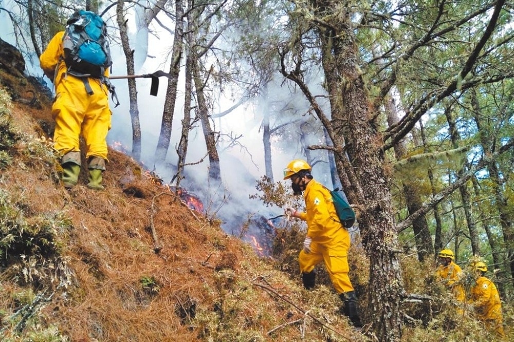 喬建中5月登山時引發玉山森林大火，林務局打算對一行5人求償2.2億元。（資料照片／嘉義林管處提供）