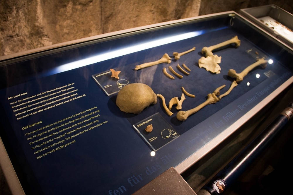 （2015 © Clemens Vasters , Neanderthal Museum @ Flickr, CC BY-SA 2.0.）