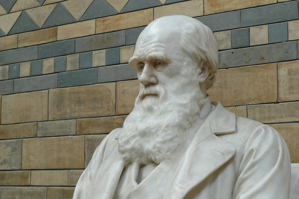 達爾文的演化論，至今仍引起許多宗教信徒強烈反對。（Pixabay）