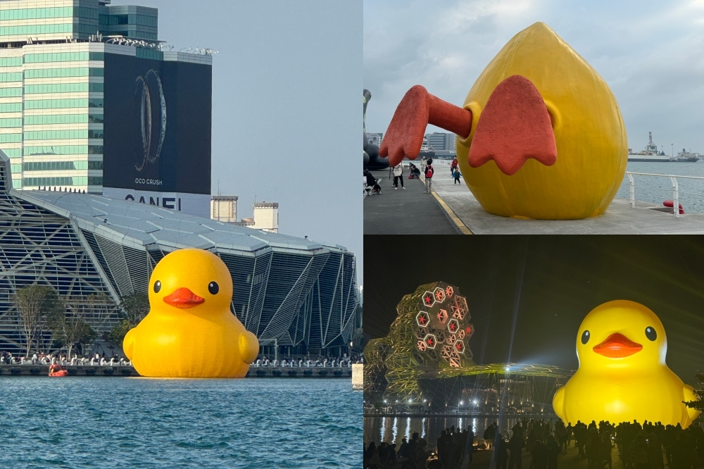 2024 高雄燈會即日起盛大登場，兩隻黃色小鴨正式在愛河灣可愛現身。（周羿庭攝）