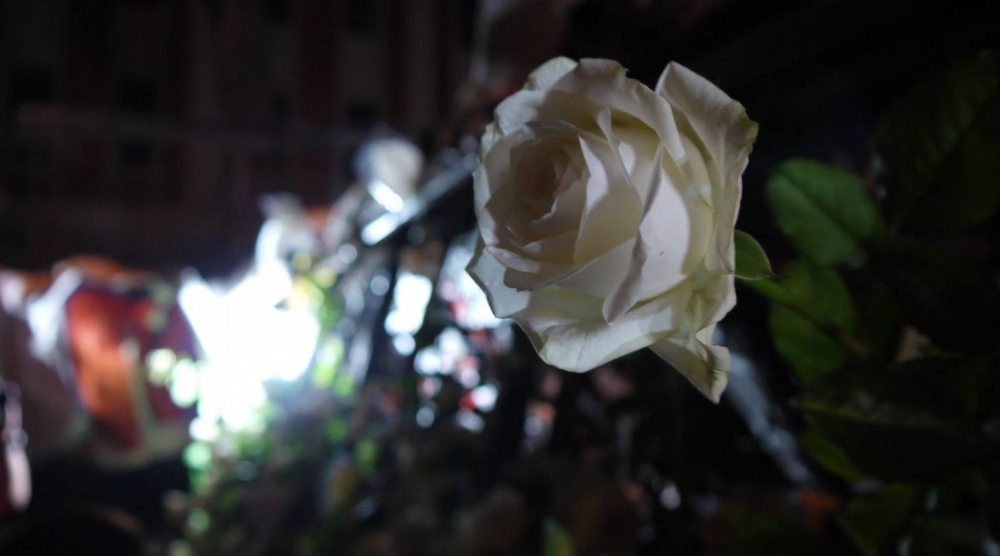 反課綱學生聯盟曾在教育部前以白色玫瑰花，悼念輕生的反課綱聯盟成員林冠華。（翻攝自反黑箱課綱行動聯盟臉書）