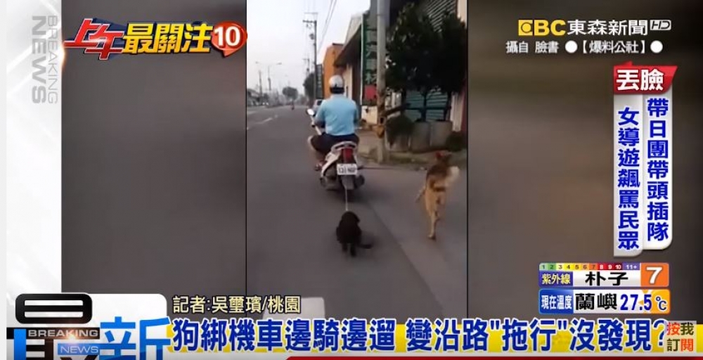 為保護寵物安全，台北市動保處擬訂立台北市動物飼養基本照護規則草案，嚴禁飼主騎機車遛狗，最高可處10000元罰鍰。（翻攝自東森新聞）