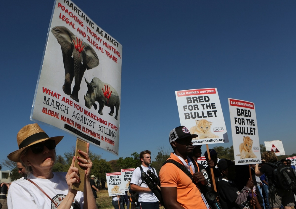 動物保育人士在約翰尼斯堡舉行示威遊行。（美聯社）