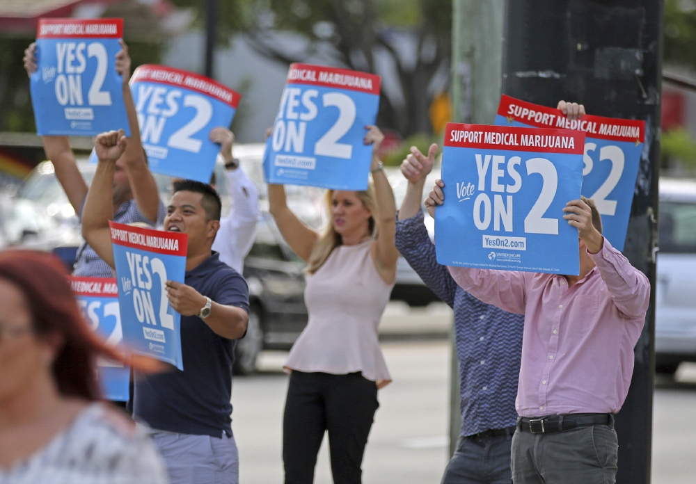 在佛羅里達州南部，支持醫療用大麻合法化的民眾在街頭上宣傳公投。（美聯社）