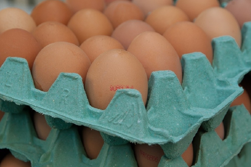 一次性包材裝蛋新制24日上路，依規定，業者須使用洗選塑膠包裝或紙盤包裝來盛裝生鮮雞蛋。（翻攝自pixabay）