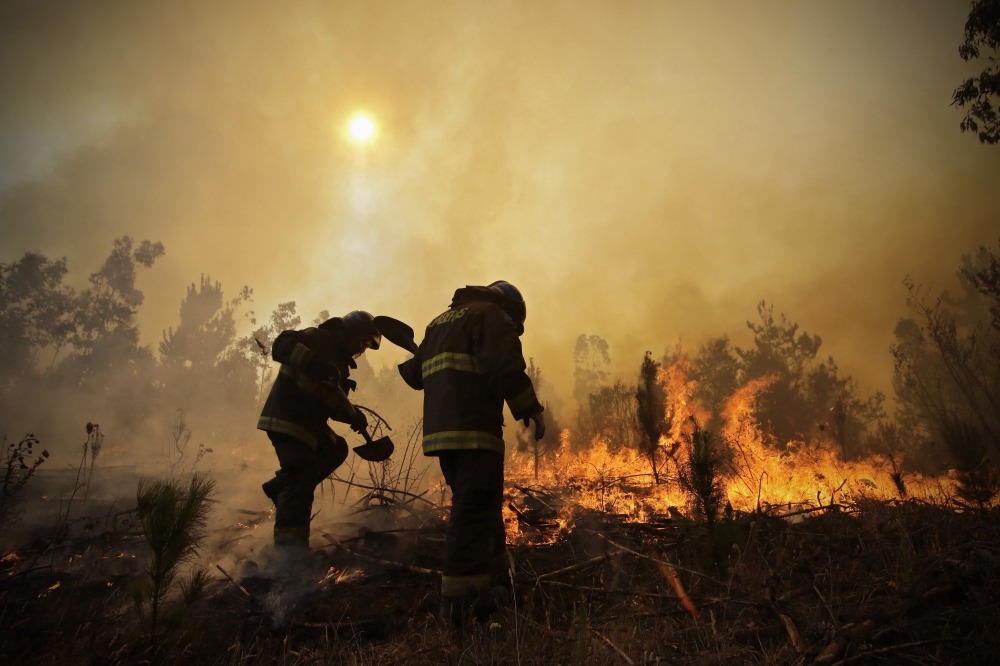 智利過去數周以來發生森林大火。（美聯社）