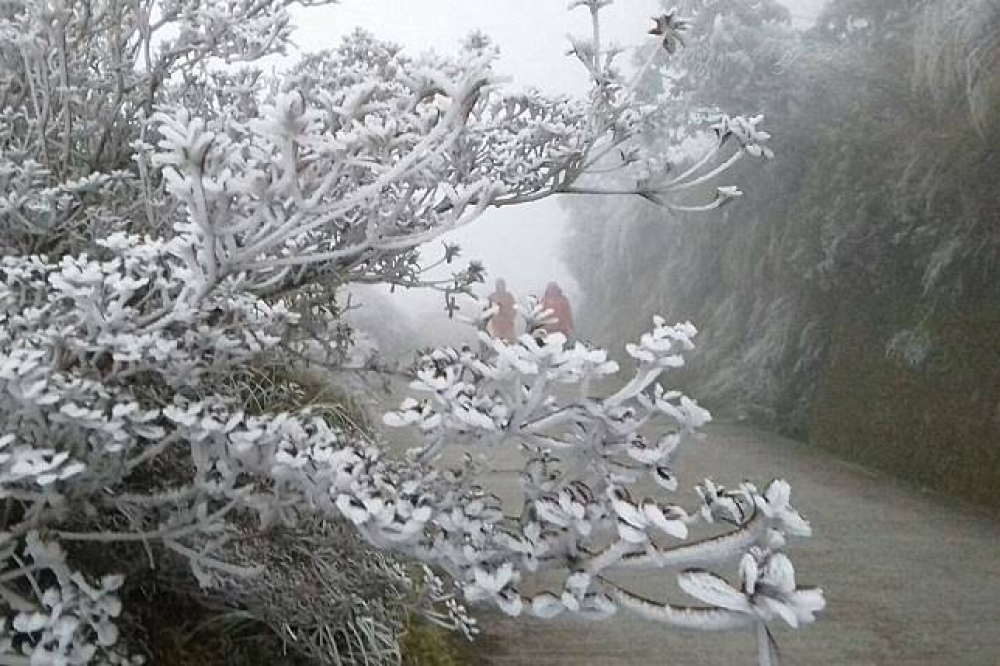 合歡山及太平山有望降雪「降好降滿」。圖為１月１１日寒流來襲時，太平山雪景景色。（圖片取自太平山國家森林遊樂區粉絲團）