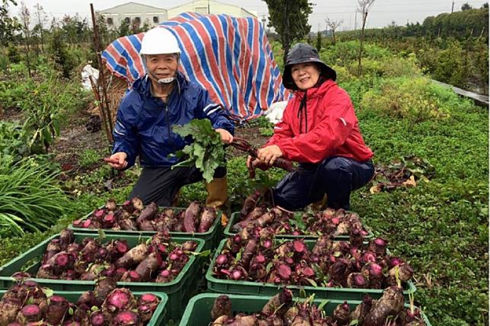 陳世雄和妻子經營有機農場，他們說，即使10年後年金減了5萬7也覺得感恩。（圖片取自City Bear 生態農場臉書）