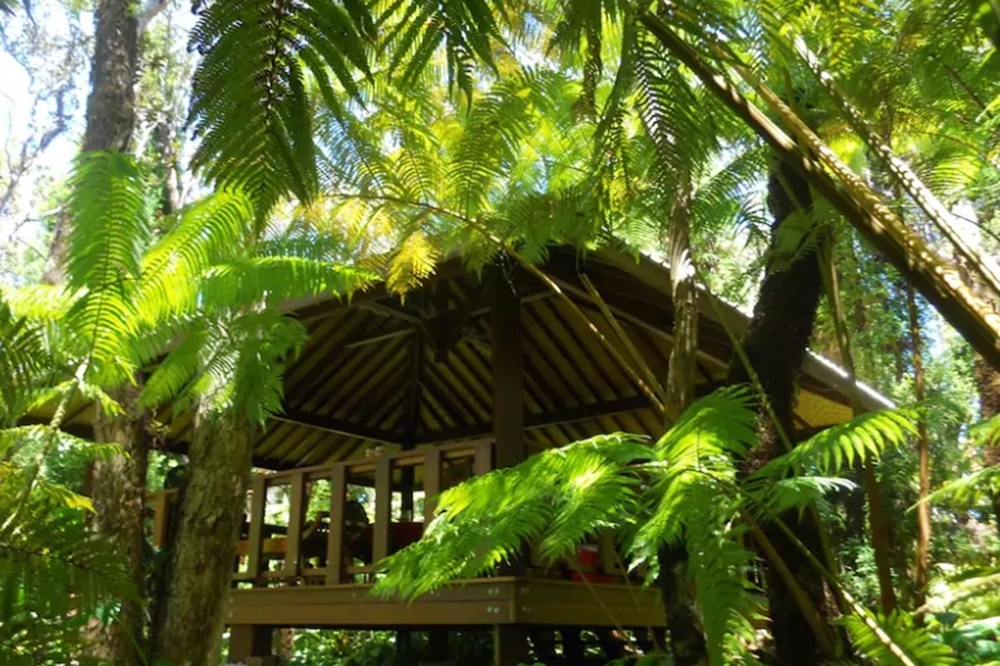 夏威夷絕景樹屋（圖片：Airbnb）