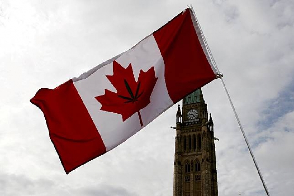 加拿大參議院1月31日通過法案，將更改加拿大國歌歌詞，以落實性別中立。圖為加拿大國旗。（湯森路透）