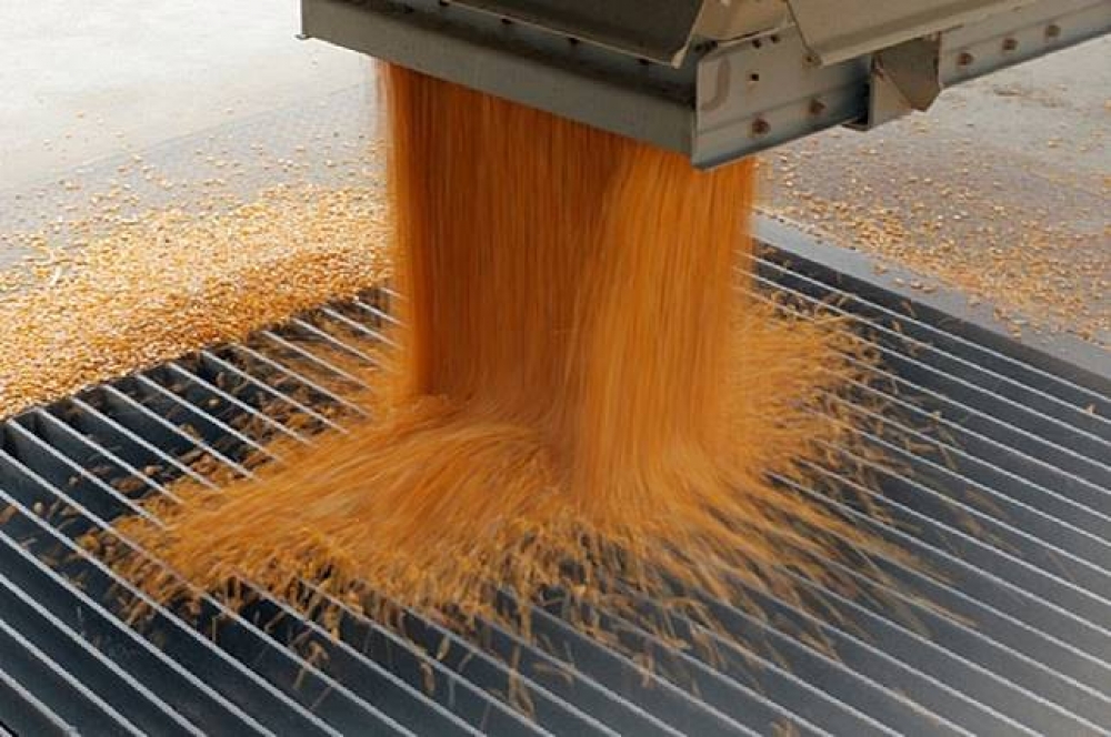美國穀物是中國重要進口商品之一。（湯森路透）