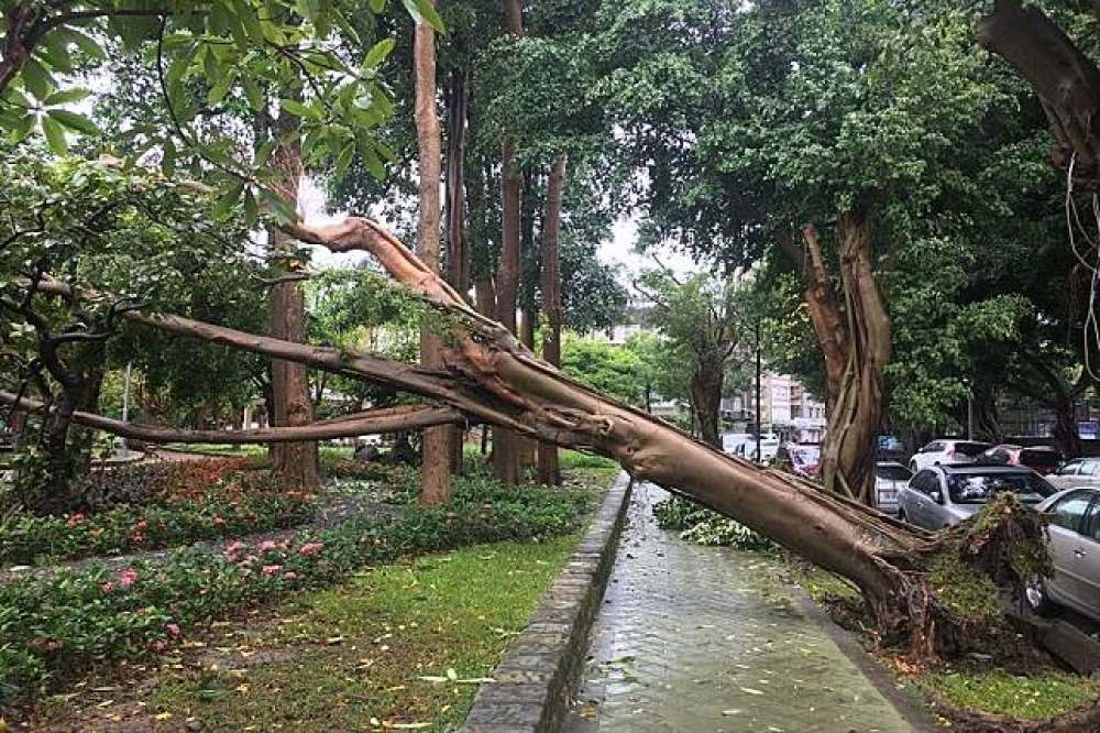 瑪莉亞颱風造成台北市及新北市多處地區招牌鐵皮被吹落。圖為信義區店家雨棚掉落，壓到路旁機車。（攝影：李昆翰）