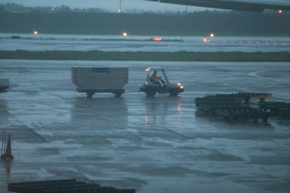 淒風苦雨及家人伴隨下楊偉中回家了 上報 焦點 淒風苦雨及家人伴隨下楊偉中回家了 上報 焦點
