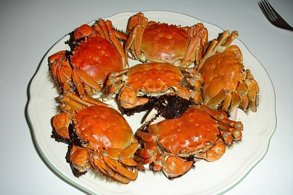衛福部食藥署查獲，中國湖南省進口的兩批大閘蟹被驗出戴奧辛超標，總重7237公斤已全數退運或銷毀，並未流入市面。示意圖（圖片取自維基百科）