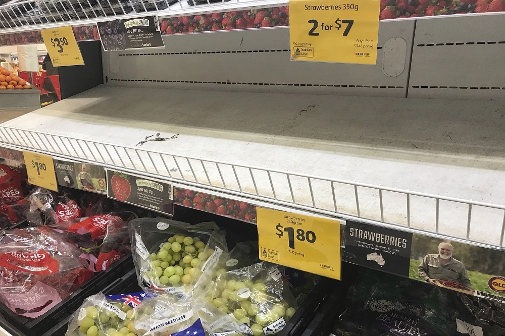 澳洲近日爆發多起草莓遭人蓄意藏針事件，多家零售業者已將草莓下架。（美聯社）