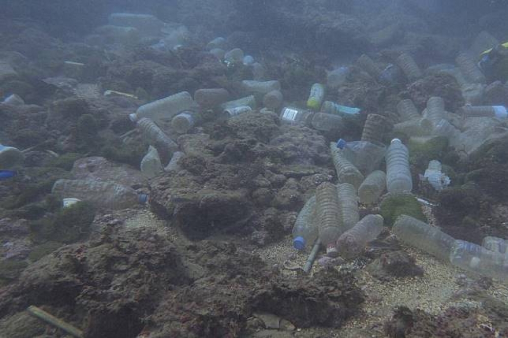基隆和平島海面下被發現有一大片寶特瓶海，面積甚至多達兩個籃球場大。（圖片取自陳信助臉書）