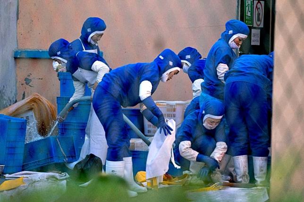 北韓勞工身著藍色服裝，用以跟中國勞工區別身分。（美聯社）