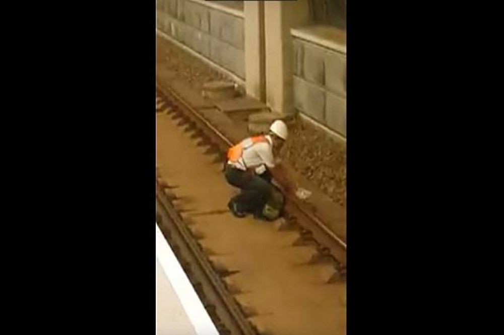 台中高鐵站6日發生意外，一隻貓咪誤闖軌道，所幸高鐵斷電解救，無生命危險。（圖片取自爆料公社3.0 Youtube）
