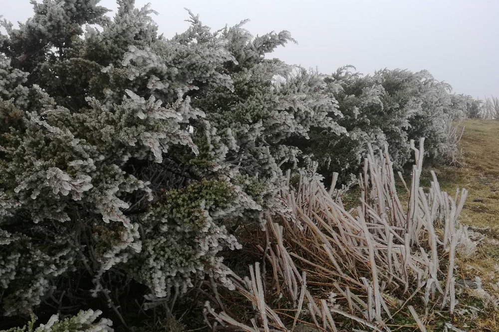 玉山17日僅結霜，當晚仍未降下初雪，打破了66年來最晚下初雪紀錄。(中央氣象局提供)