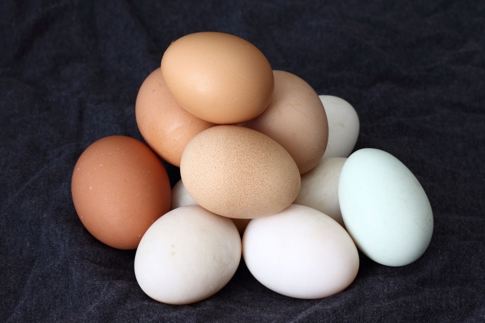 彰化順弘牧場先前送檢的雞蛋被驗出芬普尼殘留超標，共374箱、7萬4800顆「確診」的毒雞蛋恐被民眾吃下肚。（圖片取自flickr）