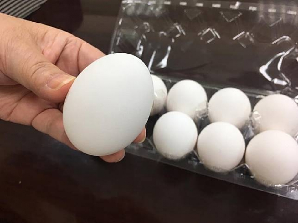 芬普尼毒蛋風波影響台灣消費者信心，傳出外界預估蛋價將下跌6元，農委會和養雞協會皆反駁下跌6元「太誇張」。（資料照片）