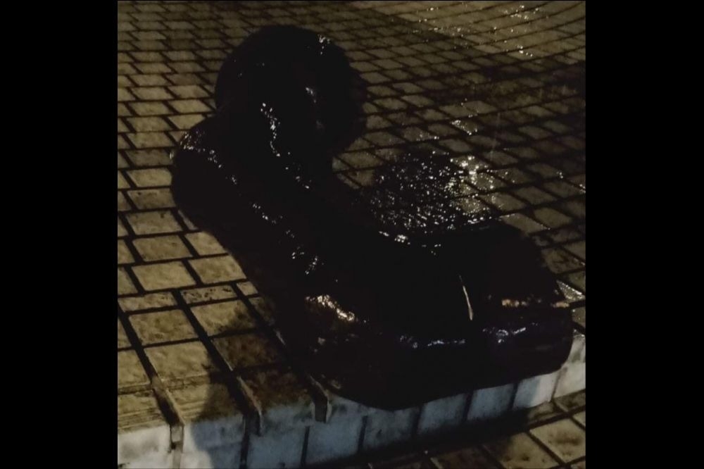 政治大學後山的「蔣公騎馬」銅像在22日凌晨遭到「斷馬腿處決」，10名政大學生事後也在網路上公布照片。（圖片取自臉書公民攝影守護民主陣線