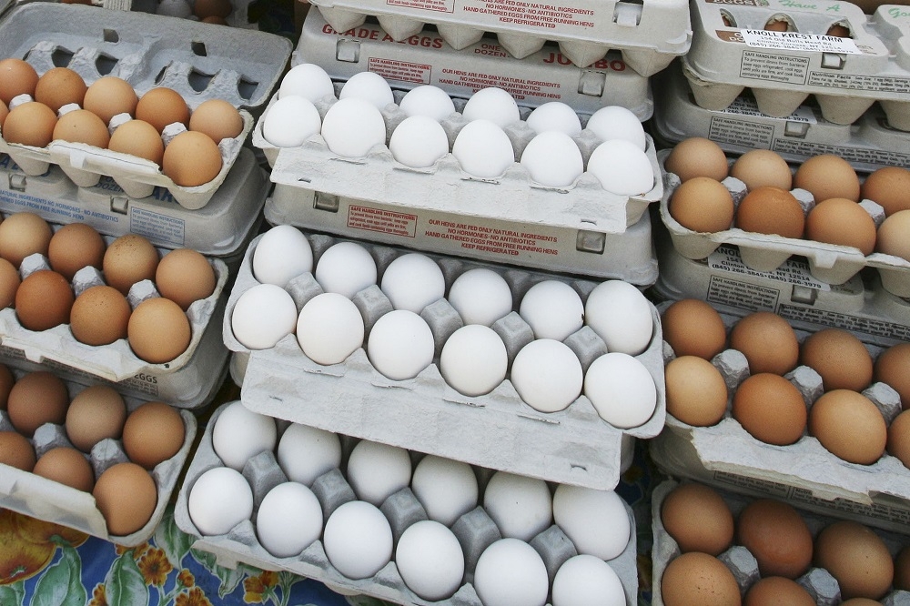 最新研究報告指出，攝取過量雞蛋或膽固醇會增加罹患心血管疾病的風險。（美聯社）