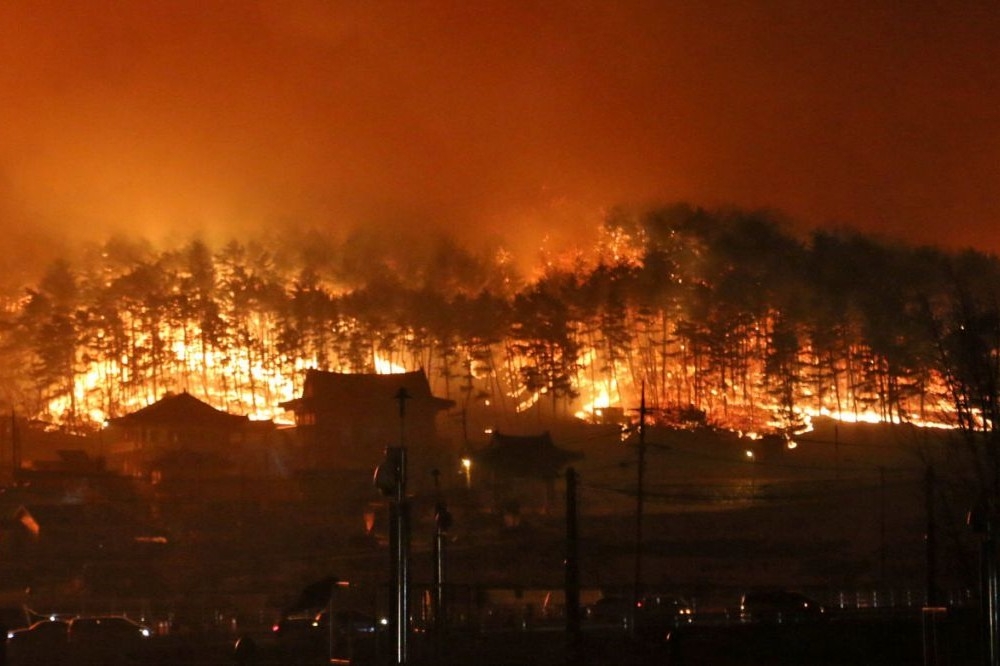 南韓江原道4日晚間發生森林大火。（湯森路透）
