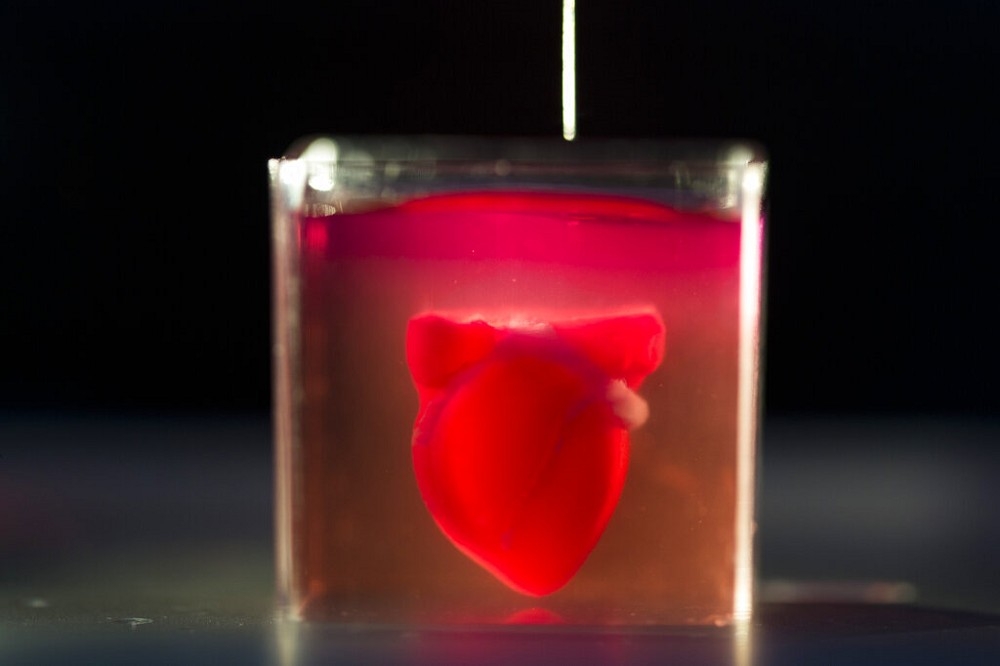 以色列特拉維夫大學展示，由3D列印出的小「心臟」。（美聯社）
