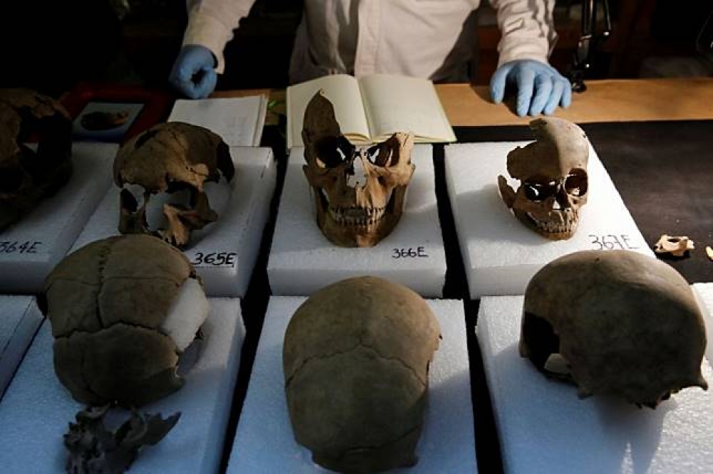 墨西哥市市中心的人類頭骨遺址出土的頭骨。（湯森路透）