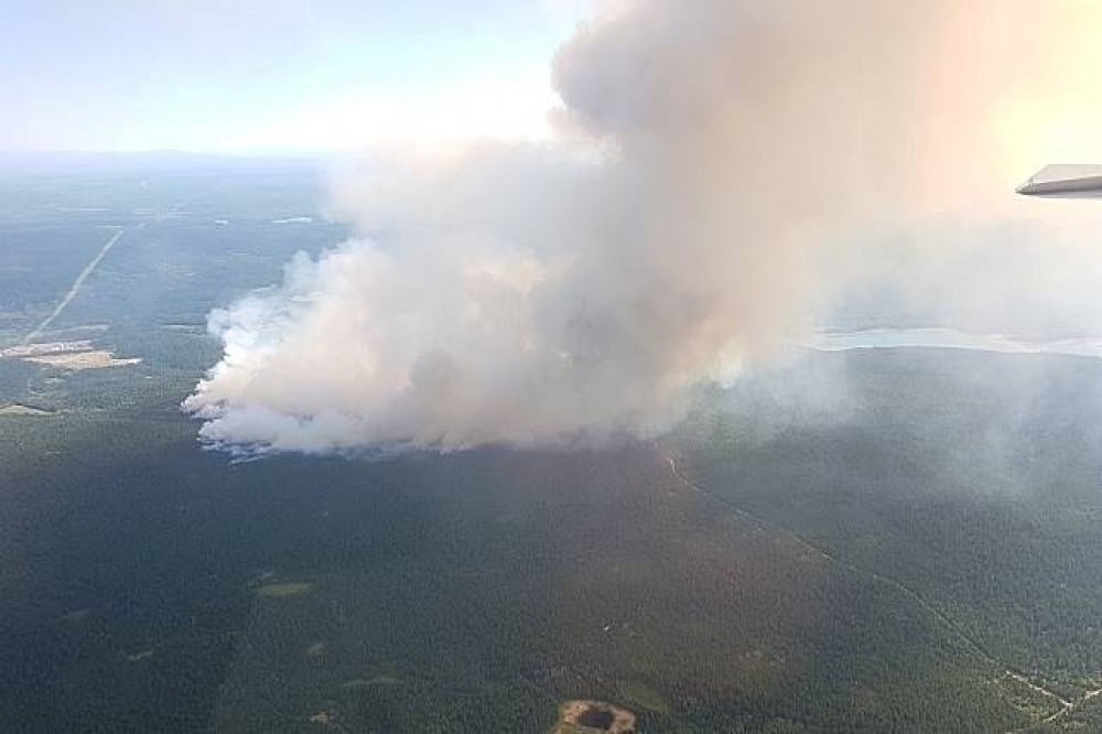 加拿大卑詩省近日頻傳森林大火。（湯森路透）