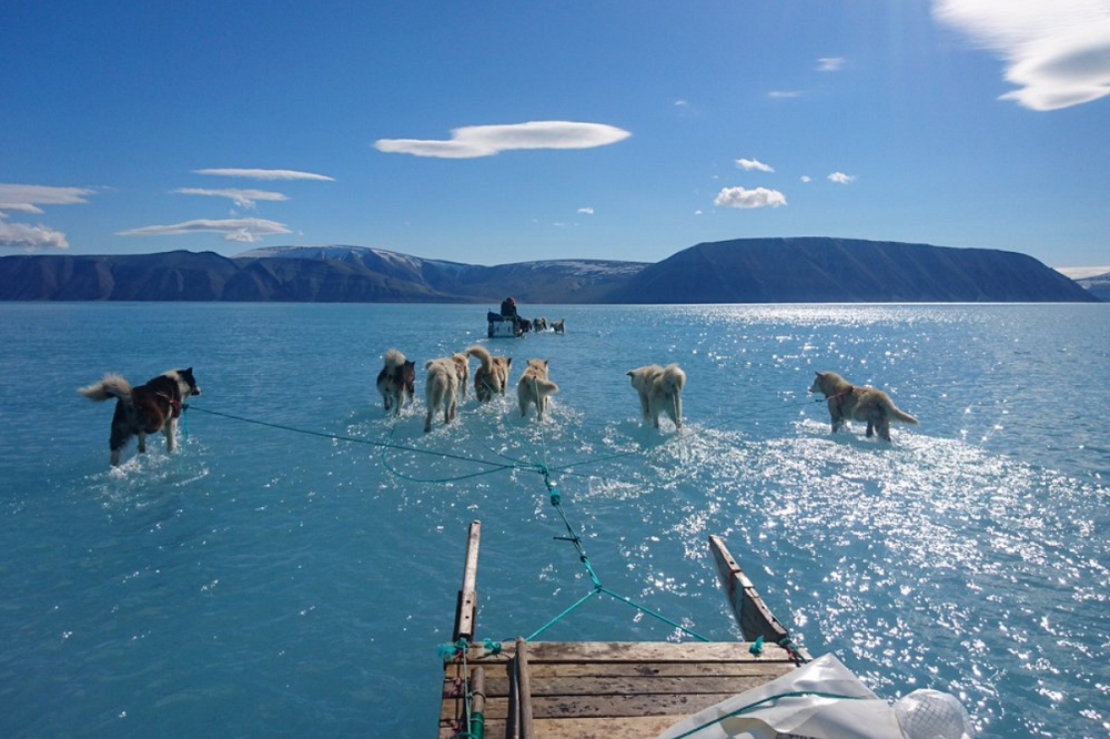 13日格陵蘭的冰原急遽融化，統計約有40%、20億噸的冰蓋融化。（取自推特@afreedma）